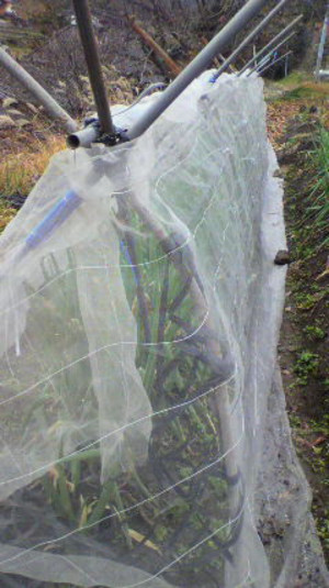 2011121011570000
