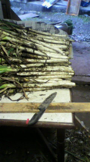 2011120716410000
