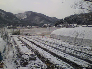 2011121708330000