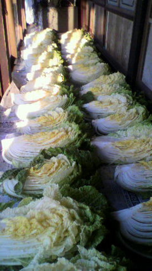 2011122008050000