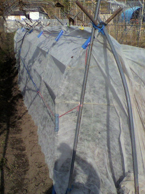 2010112913180000