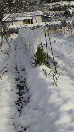2011122309040000