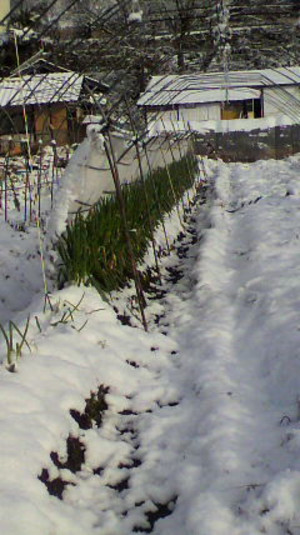 2011122309050000