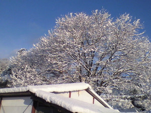2011122408100000