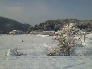 2012010508380000