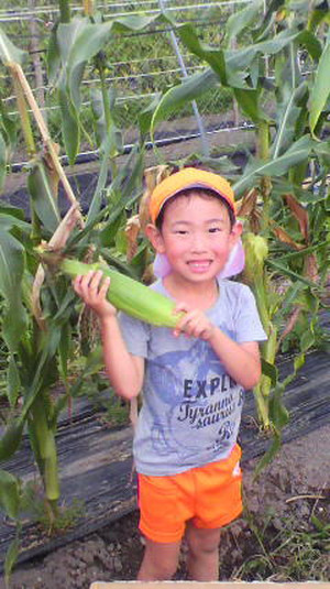 2012072416460000