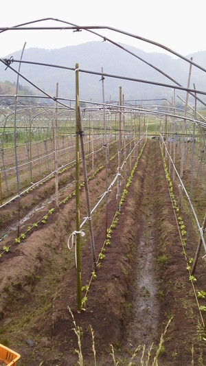 2014052006250000_2