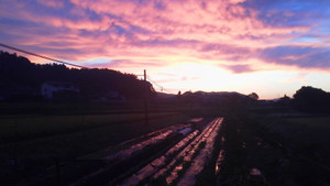 2014091205420000