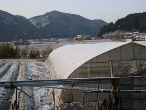 P1000779_2