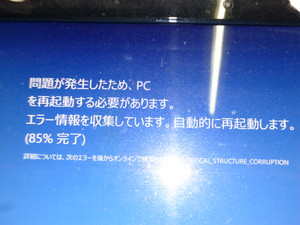 P1010376_3