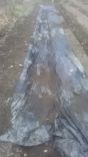2020112716010501