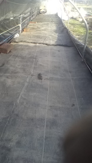 2021021115524501